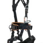 ARNES ROCK EMPIRE SKILL ECON